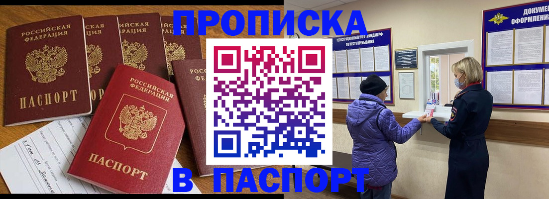 прописка 2025 в Кингисеппе